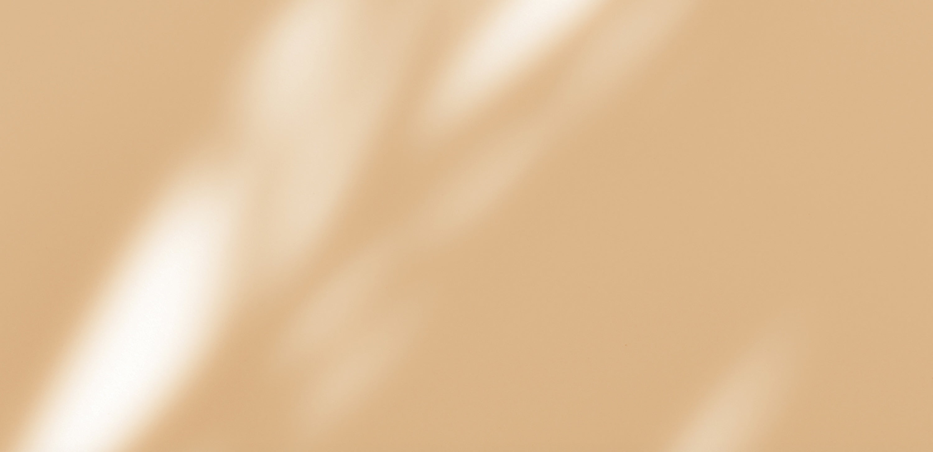 Black Friday Specials